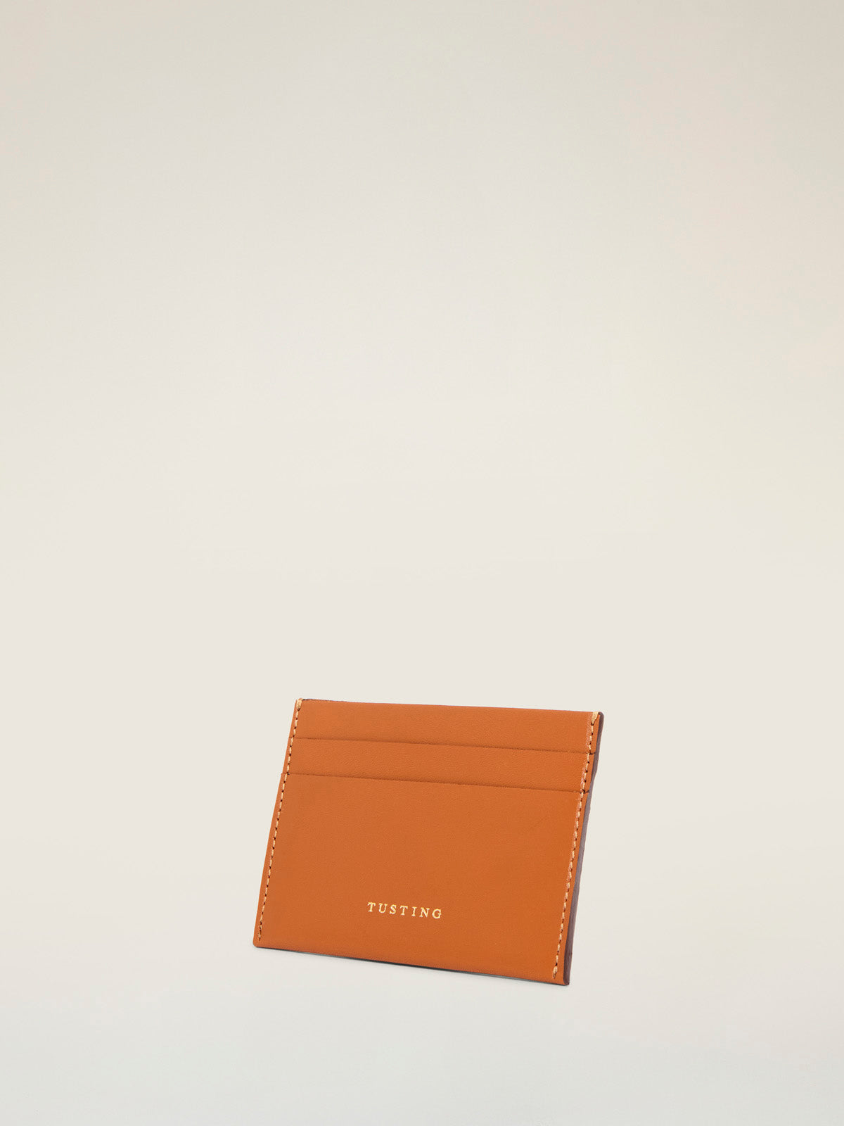 Credit Card Holder